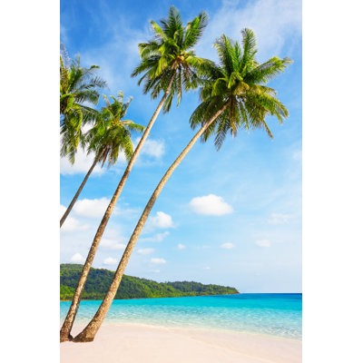 Palm Trees by Preto_Perola - Wrapped Canvas Print