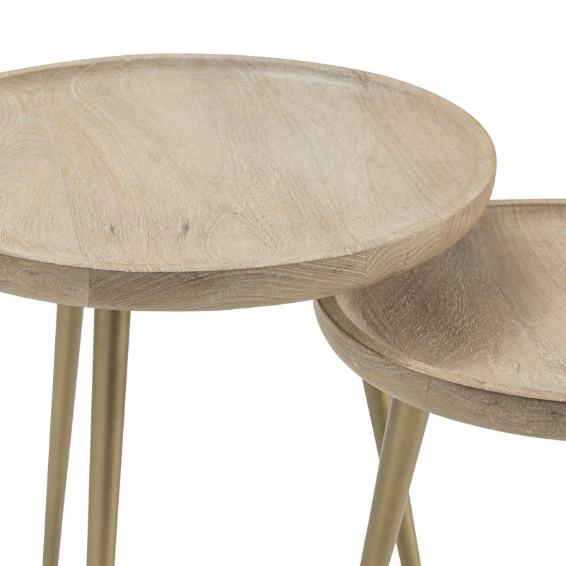 Ensemble de 2 tables d'appoint Tyringham