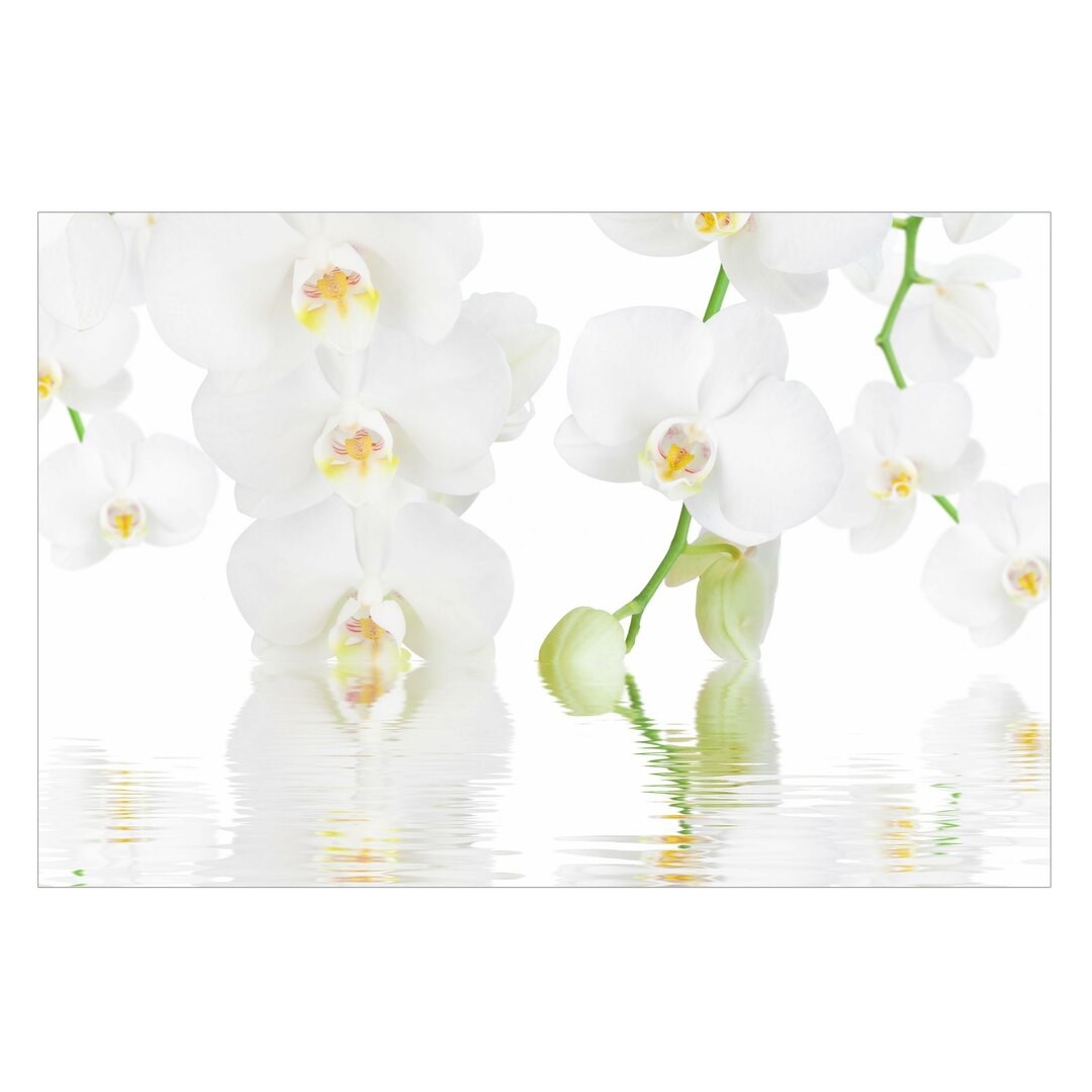 Seidenmatte Fototapete Orchidee