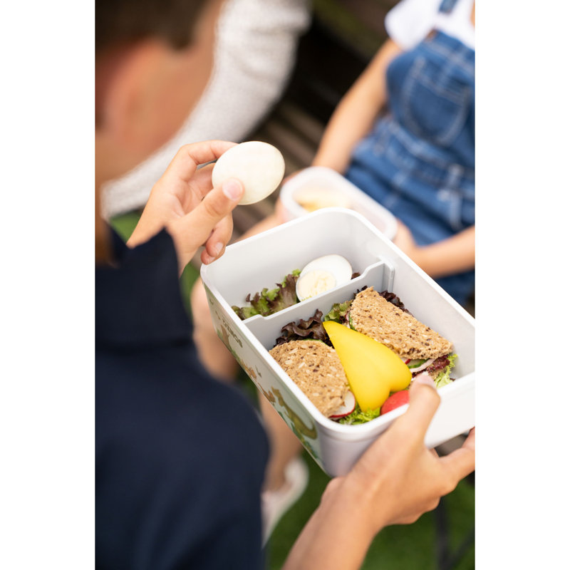 ZWILLING Fresh & Save Dinos Plastic Lunch Box - Large