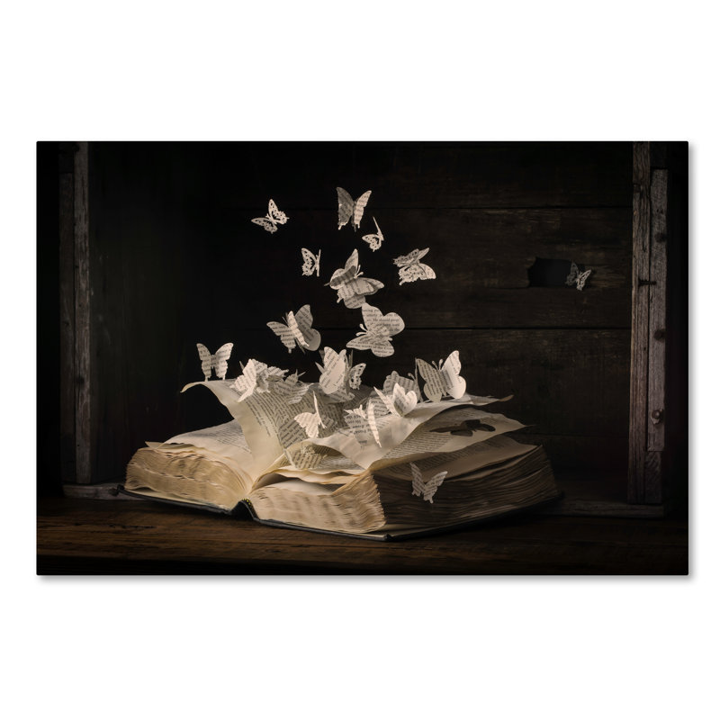 « Lepidopterology », reproduction de photo sur toile tendue, H 12 po x l 19 po