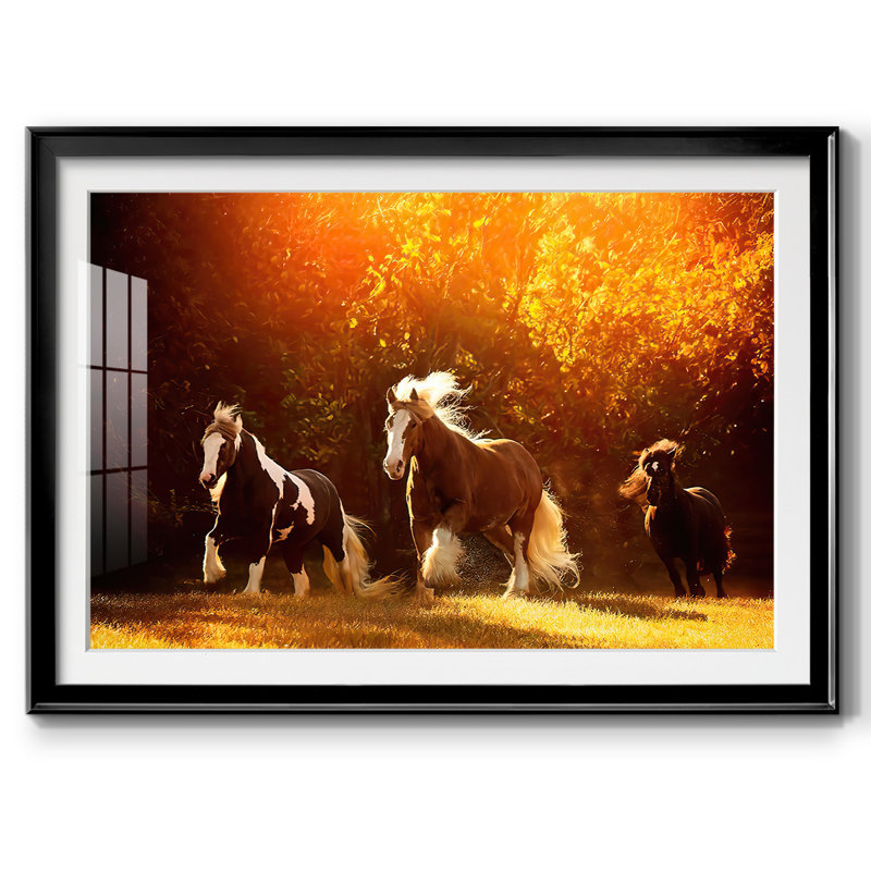 «Horse Motion V», impression sur papier, Noir, H 15 po x l 21 po x P 1,5 po