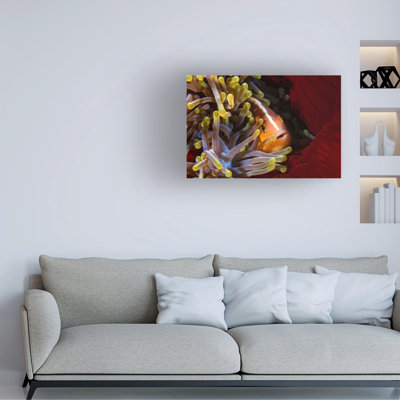 Art sur toile Barathieu Gabriel