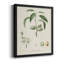 Toile encadrée de qualité supérieure antique avec amande botanique I - prête à être accrochée-2104528116-2104528117