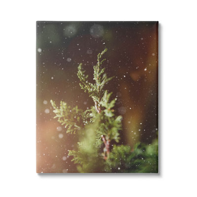 «Winter Snowfall Night Pine Tree» par Lil 'Rue