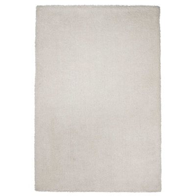 Indoor Rug