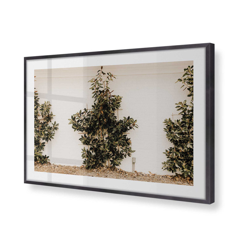 «Green Embrace», impression roulée, 12.25" H x 15.25" W x 1.25" D, Cadre simple en zinc patiné