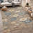 Machine Washable Indoor/Outdoor Chantille ACN2944 Floral Rug-277071969