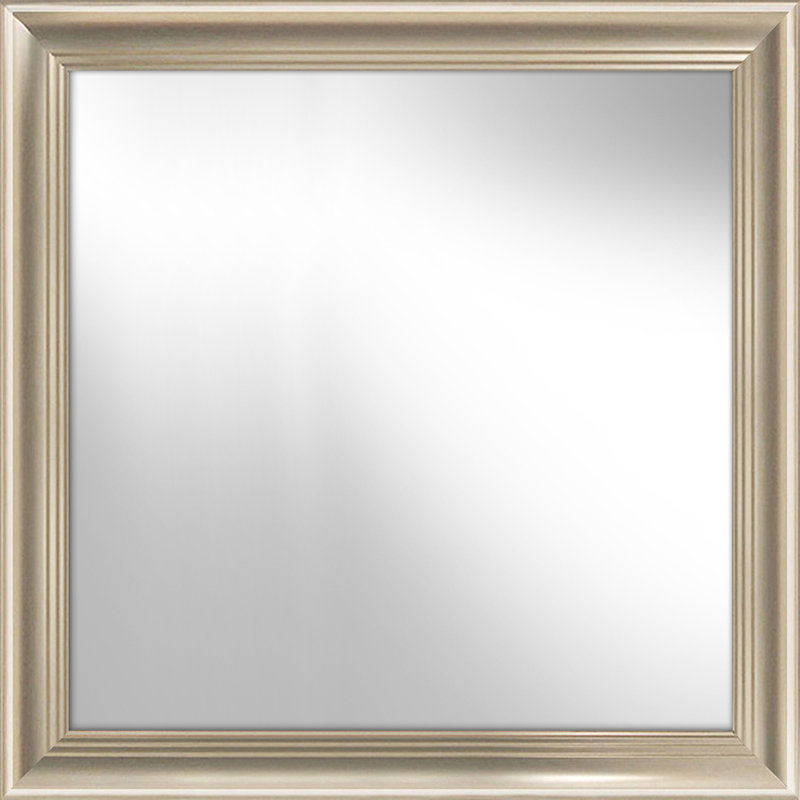 Redmon Plastic Flat Leaning Mirror