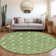  Maliana Area Rug