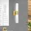 Cailum 2 Light Frosted Dimmable Vanity Light-2124124861