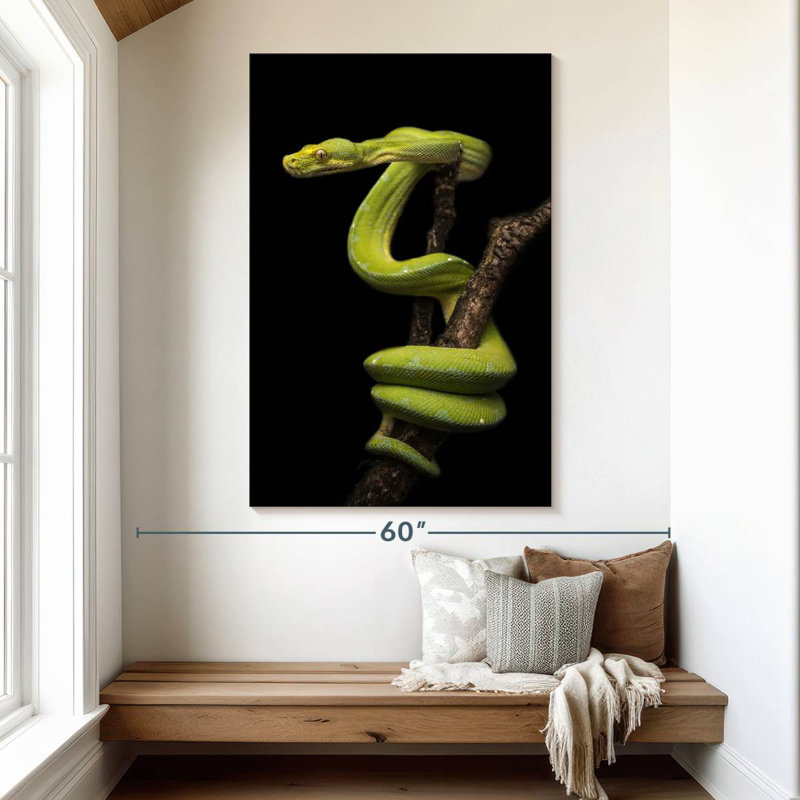 Brampt Python Wrapped Around A Branch, 51" H x 34" W