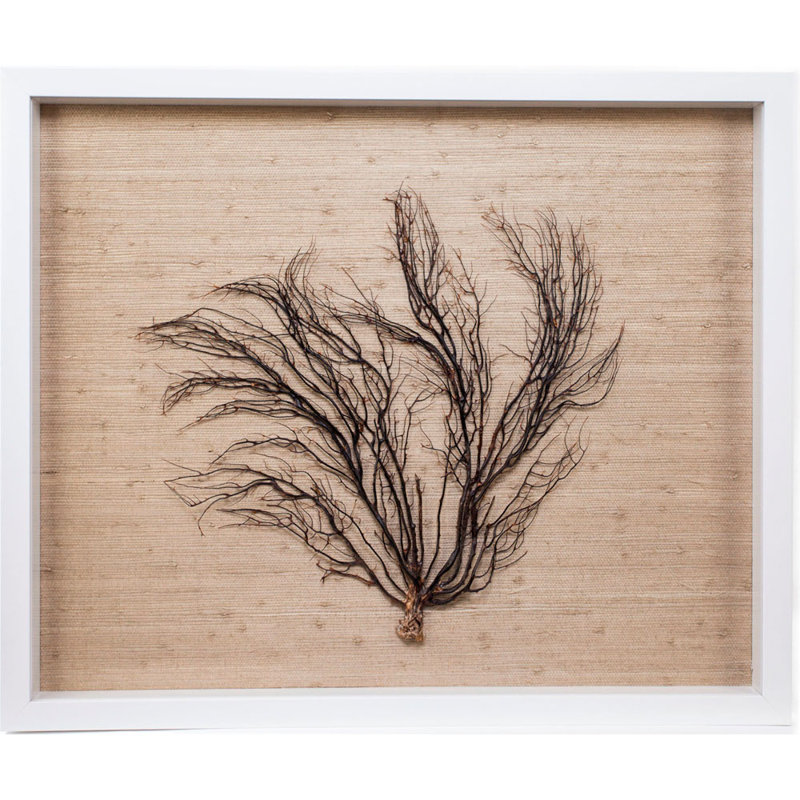 Sealife Print