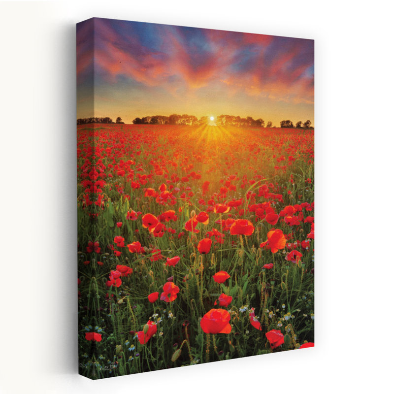Art contemporain coquelicots coquelicots au coucher du soleil, H 36 po x l 24 po