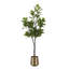 Figuier en figuier avec pot Portell-840316664-844837712