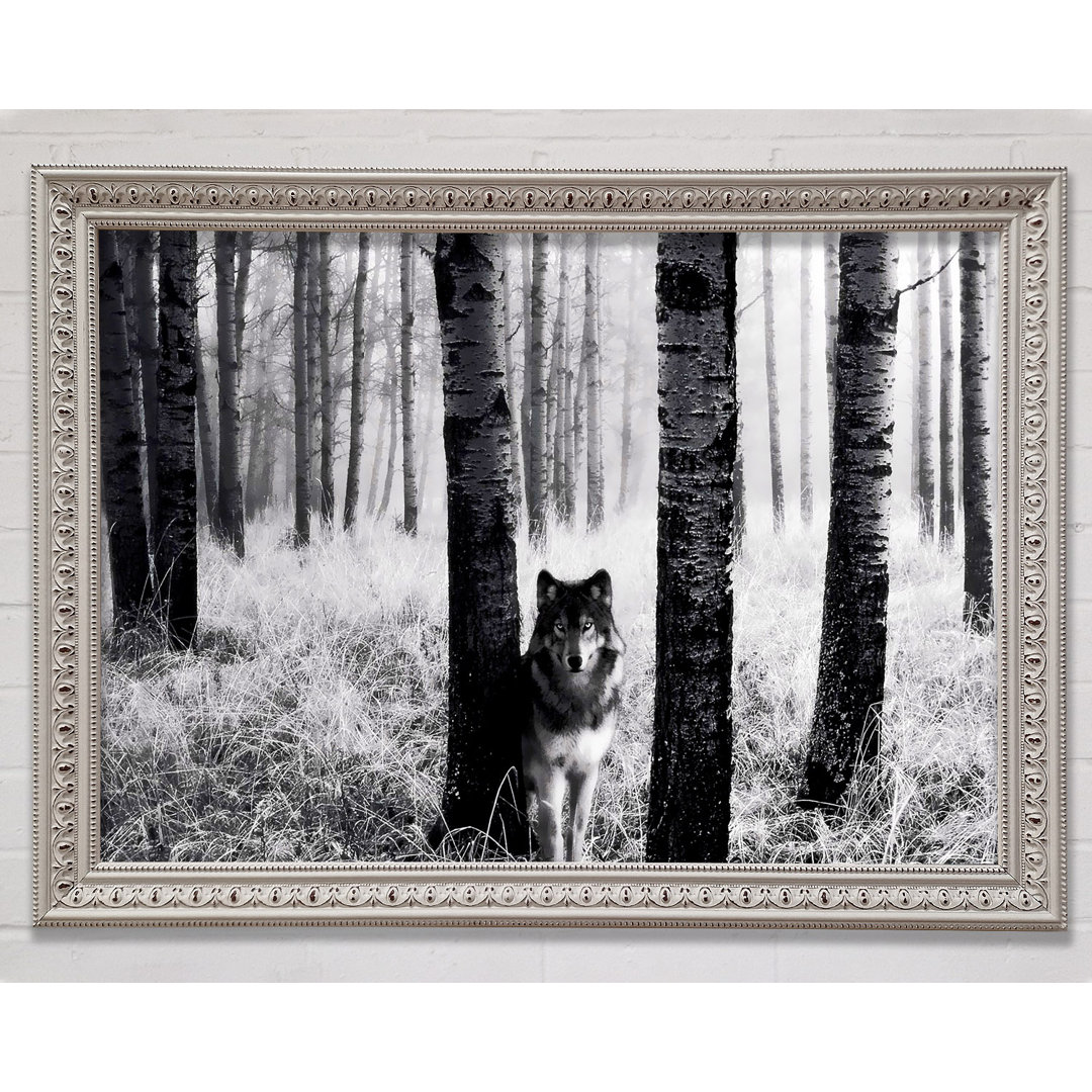 Wolf In The Forest - Einzelne Bilderrahmen Kunstdrucke