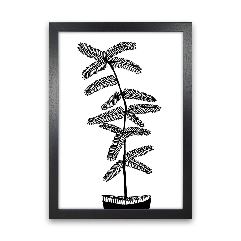 Mimosa by Carissa Tanton - Print, 46cm H x 34cm W x 3cm D, Black Framed