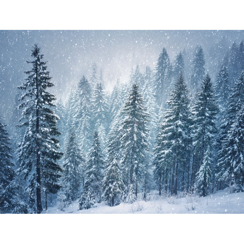 «Snowstorm Over Pine Ridge», art mural sur toile, H 16 po x l 24 po