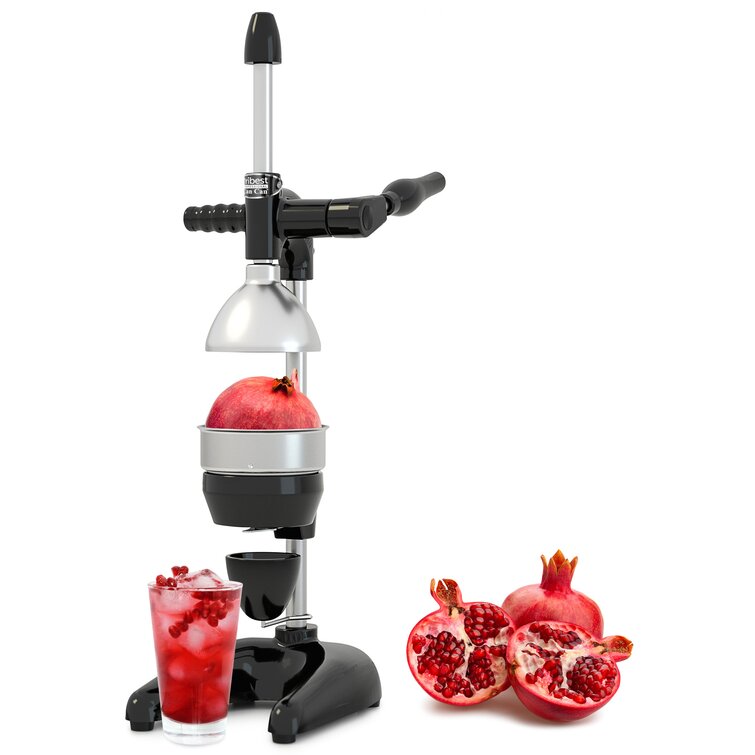 Tribest Manual Slow Masticating & Cold Press Juicer