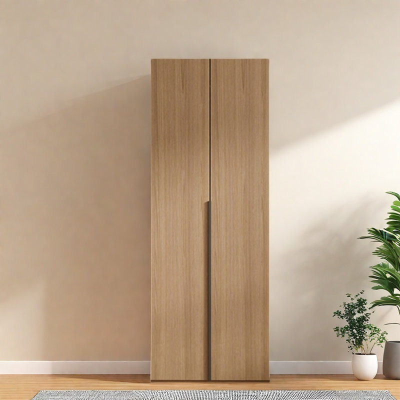 Garde-robe moderne, simple et pratique