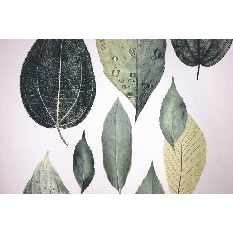 Ravae Blackout Single Curtain Panel, 255cm H x 145cm W, Grey