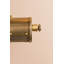 Gaines Wallchiere Picture Light-967476321