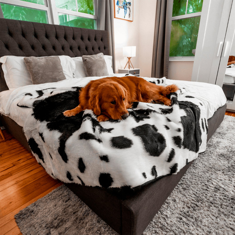 King Size Black and White Faux Fur Pet Blanket