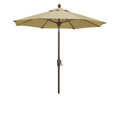 Patio Market Tilt