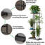 Support à plantes à 4 niveaux pour l'intérieur et l'extérieur-1166157338