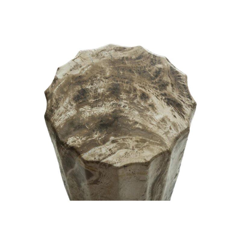 Petrified Solid Wood End Table