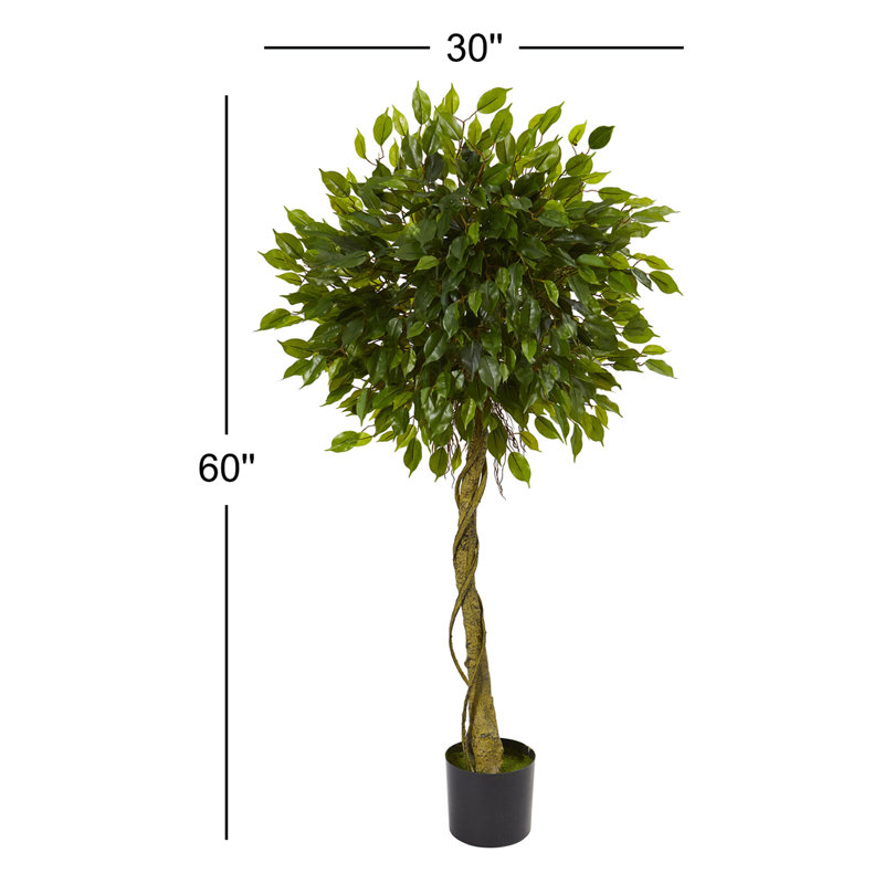 5 pi Arbre topiaire artificiel Ficus, résistant aux rayons UV (intérieur / extérieur)