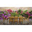 Chaise de patio teck Kasandra