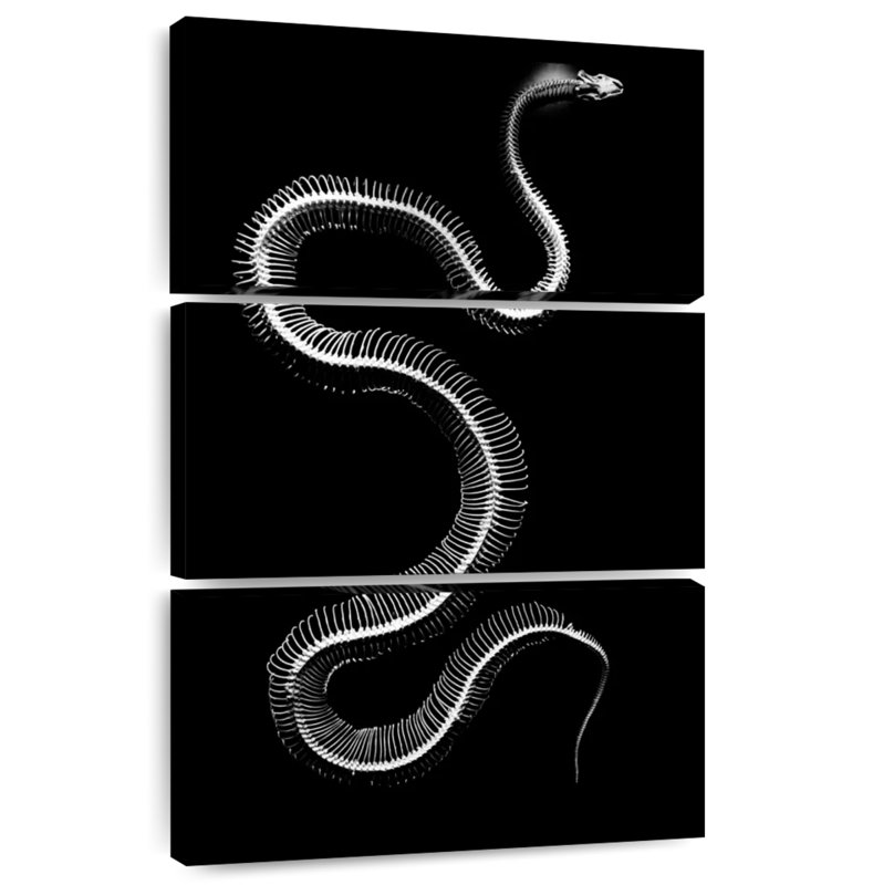 Snake Bones, 57" H x 36" W