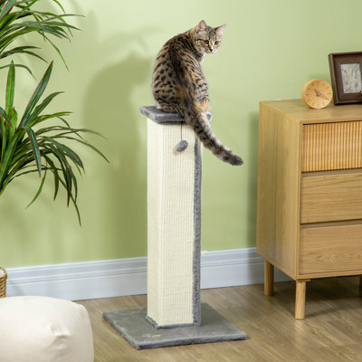Collton Scratching Post