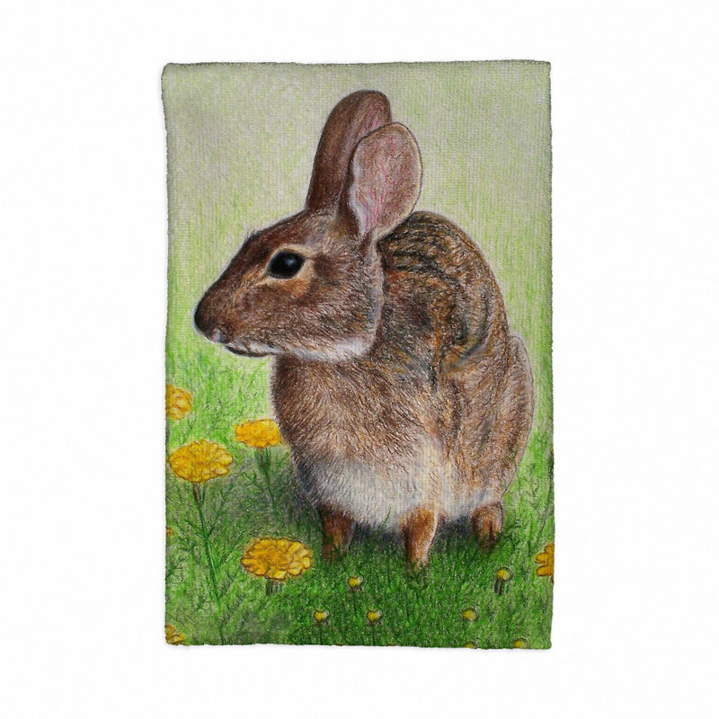 Dish Cloth Kitchen Towel
