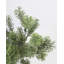 Faux Moss Branch