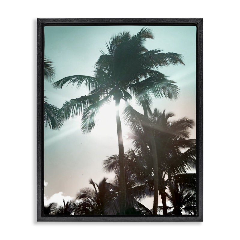 «Shady Palm Trees», art mural encadré sur toile flottante par Noah Bay, Cadre flottant noir de jais, H 21 po x l 17 po