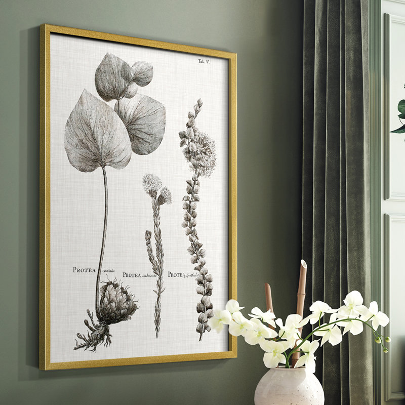 «Black & White Protea on Linen II», reproduction encadrée - bois massif, H 20 po x l 16 po