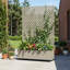 Planter Box-819676076-806154429
