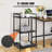 40.2'' H x 20.5'' W Printer Stand with Wheels