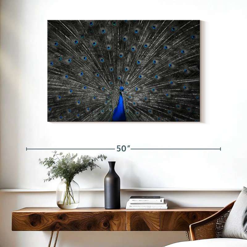Plume de paon bleu Crowle, H 26 po x l 39 po