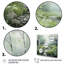 Birch Woods Ethereal Elegance V - Forest Canvas Prints-195449553-115335755