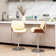 Aanyla Swivel Adjustable Height Bar Stool