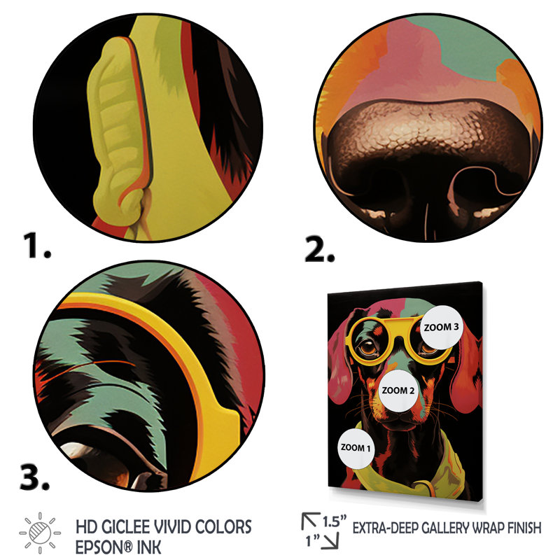 «Curious Popart Daschund Dog I», art mural chien, Cadre simple noir, H 40 po x l 30 po x P 1,5 po
