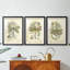 Libellule royale II (PP) - reproduction sur mesure encadrée de qualité supérieure - 3 pièces-195062999-195062998