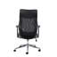 Acire Executive Chair with Headrest