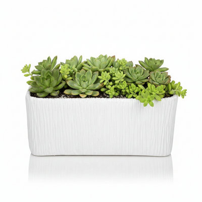 Rita Rectangular Embossed Planter - Large