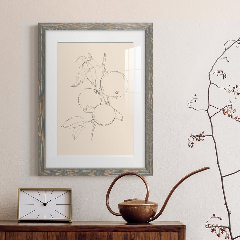 Fruit Contour Study I Premium encadré mat - prêt à être suspendu, Encadré gris, H 20 po x l 17 po x P 1 po