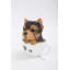 Statue de yorkshire-terrier dans une tasse à thé