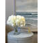 Faux Hydrangea Stems-439757789